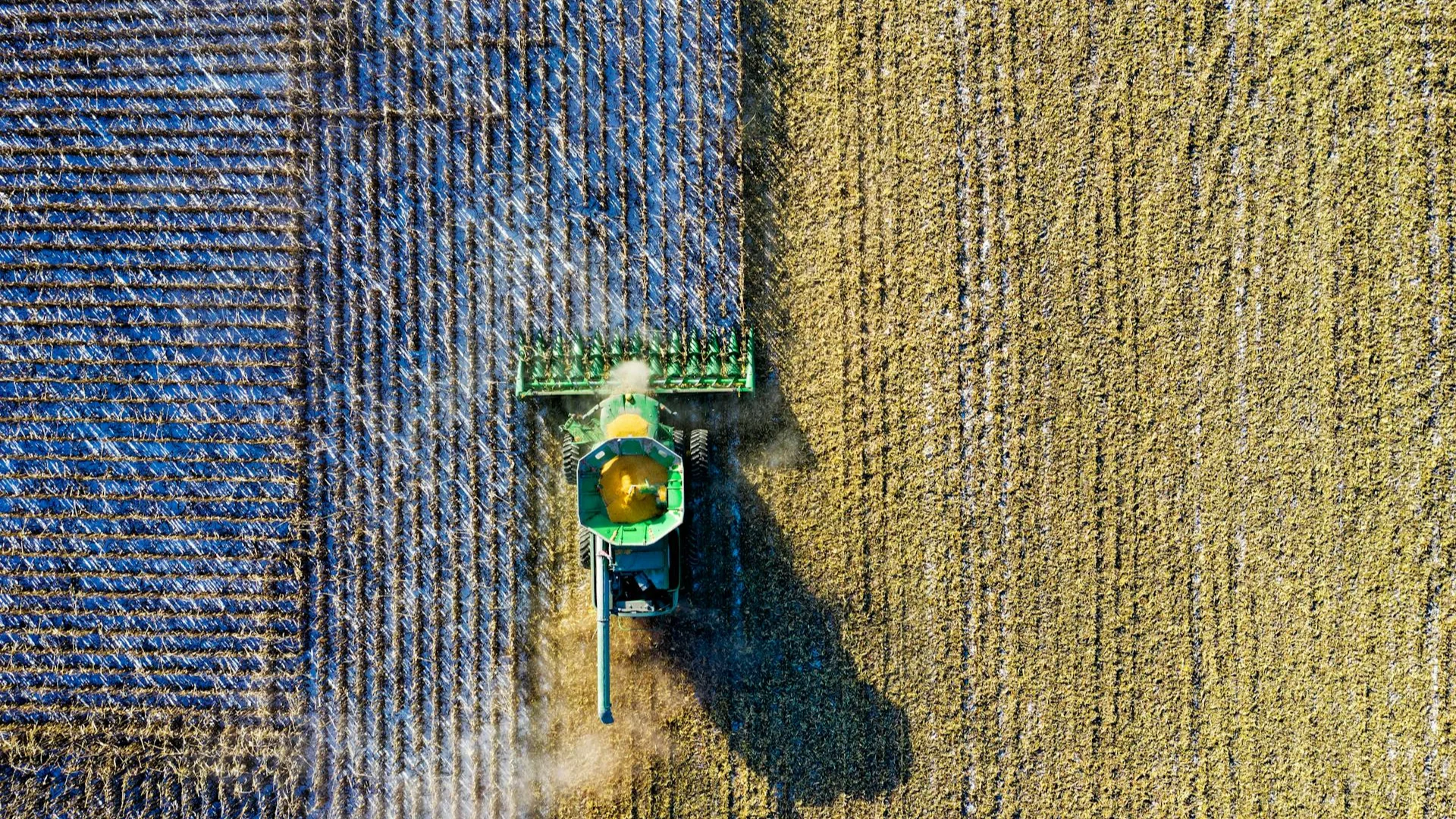 agriculture market research in taiwan